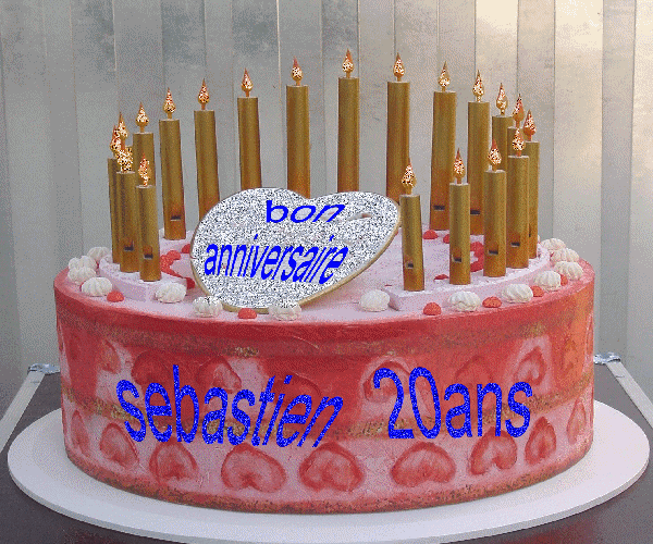 mon fils sebastien